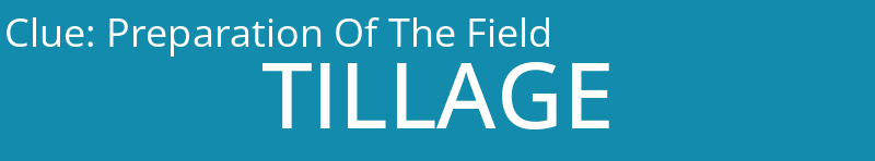 Preparation Of The Field