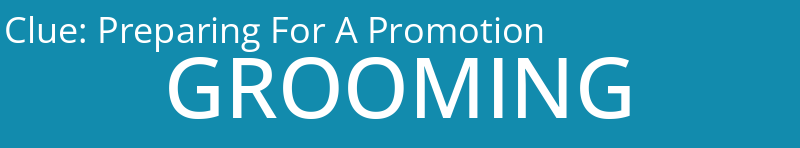 Preparing For A Promotion
