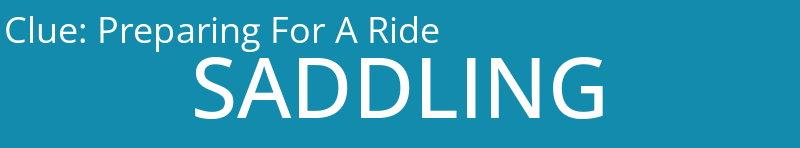 Preparing For A Ride