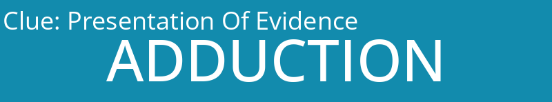 Presentation Of Evidence