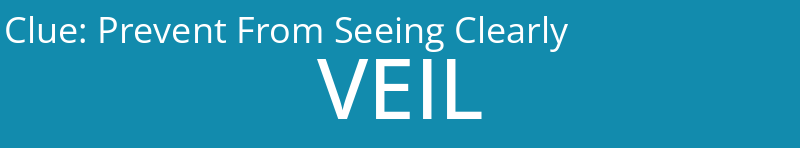 Prevent From Seeing Clearly