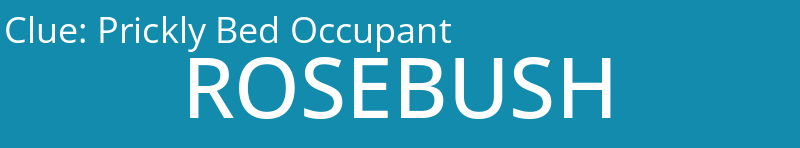 Prickly Bed Occupant