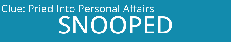 Pried Into Personal Affairs