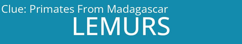 Primates From Madagascar