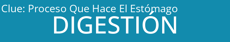 Proceso Que Hace El Estómago
