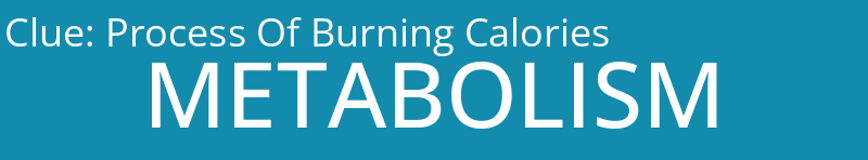 Process Of Burning Calories