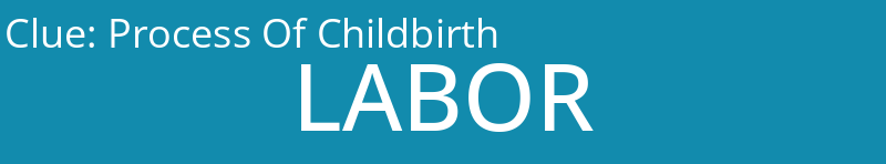 Process Of Childbirth