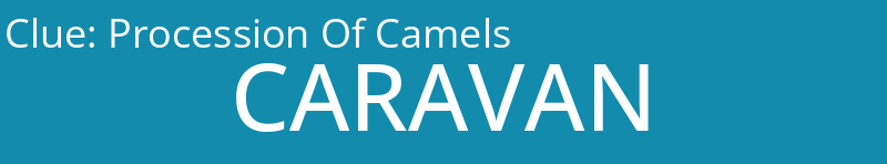 Procession Of Camels