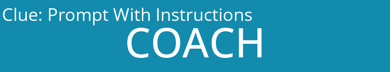 Prompt With Instructions