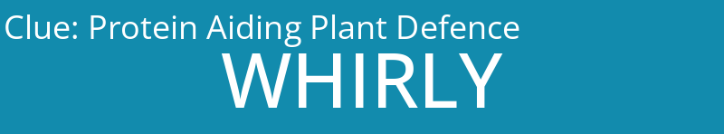 Protein Aiding Plant Defence