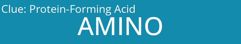 Protein-Forming Acid