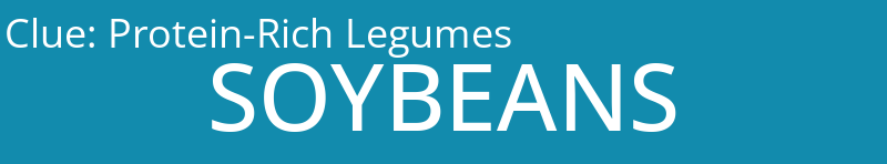 Protein-Rich Legumes