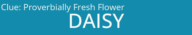 Proverbially Fresh Flower