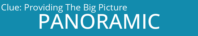 Providing The Big Picture