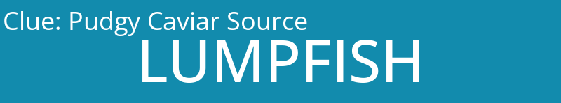 Pudgy Caviar Source