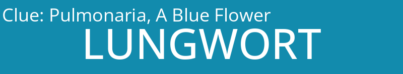 Pulmonaria, A Blue Flower