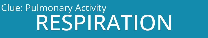 Pulmonary Activity 