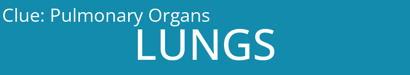 Pulmonary Organs