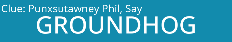 Punxsutawney Phil, Say