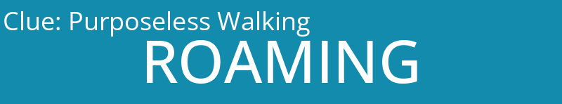Purposeless Walking