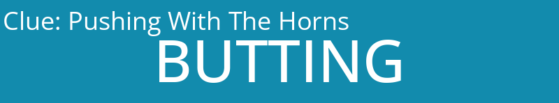 Pushing With The Horns