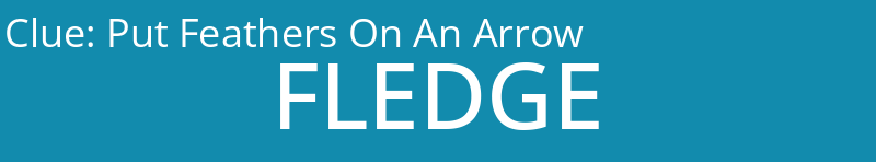 Put Feathers On An Arrow