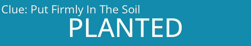 Put Firmly In The Soil