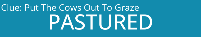 Put The Cows Out To Graze