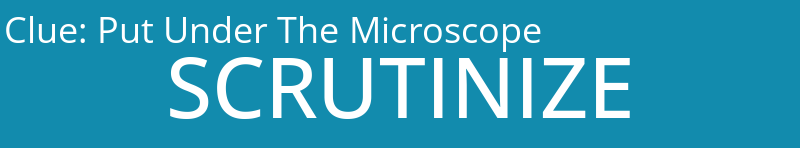 Put Under The Microscope