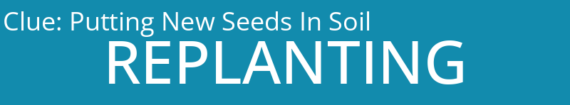 Putting New Seeds In Soil
