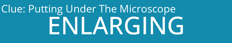 Putting Under The Microscope