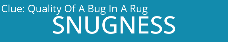 Quality Of A Bug In A Rug