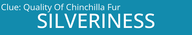 Quality Of Chinchilla Fur