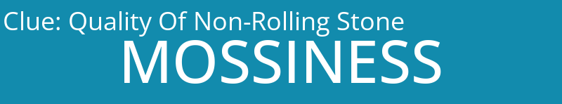 Quality Of Non-Rolling Stone