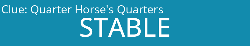 Quarter Horse's Quarters