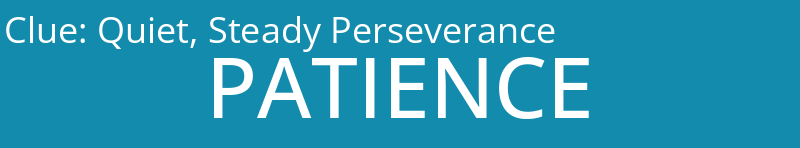 Quiet, Steady Perseverance