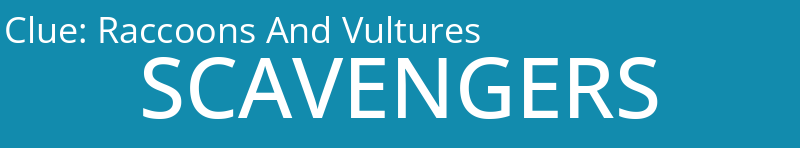 Raccoons And Vultures