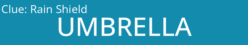 Rain Shield