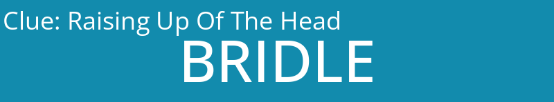 Raising Up Of The Head