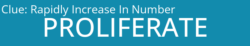 Rapidly Increase In Number