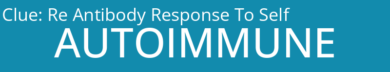 Re Antibody Response To Self