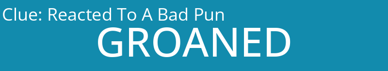 Reacted To A Bad Pun