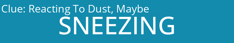 Reacting To Dust, Maybe