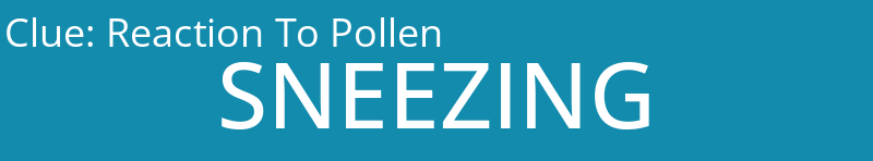 Reaction To Pollen