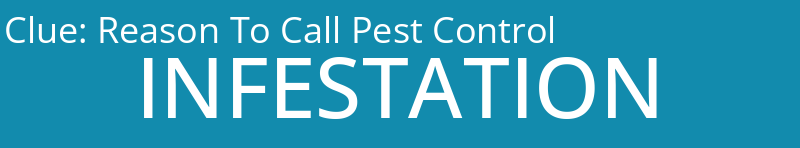 Reason To Call Pest Control