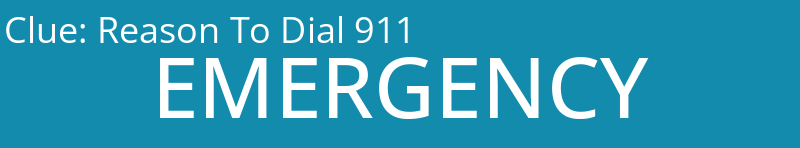 Reason To Dial 911