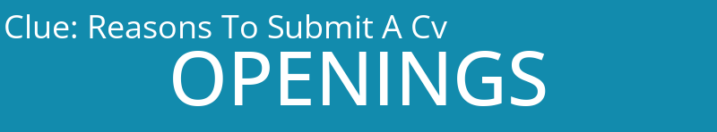 Reasons To Submit A Cv