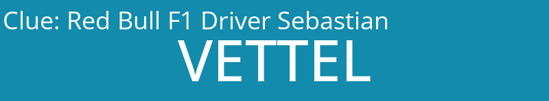 Red Bull F1 Driver Sebastian