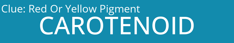 Red Or Yellow Pigment