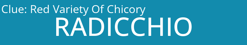 Red Variety Of Chicory